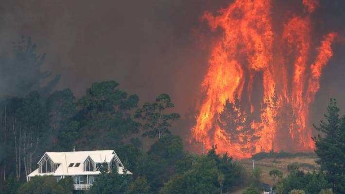 NZ Bush Fire